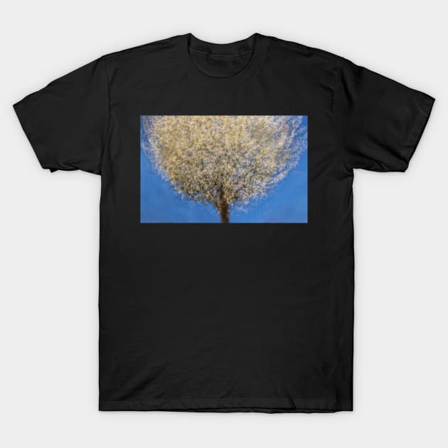 Cherry Tree Multiple Exposure T-Shirt by TonyNorth